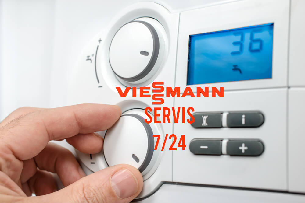 Viessman Servis
